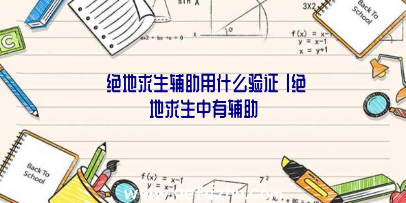 「绝地求生辅助用什么验证」|绝地求生中有辅助